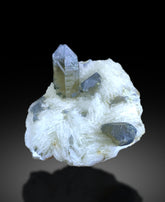 Blue Quartz Crystals on Cleavelandite Albite from Afghanistan - 328 gram