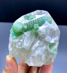 Natural Green Color Tourmaline Crystals on Quartz from Afghanistan - 337 gram