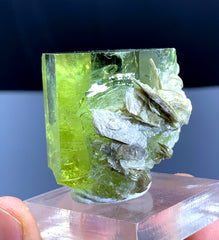 Yellow Heliodor var Beryl on Mica from Pakistan - 72 gram