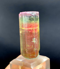 Tricolor Watermelon Tourmaline Crystal from Paprok Afghanistan - 128.15 carat