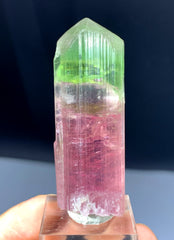 Bicolor Tourmaline Crystal from Afghanistan - 27 grams