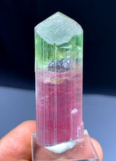 Bicolor Tourmaline Crystal from Afghanistan - 27 grams