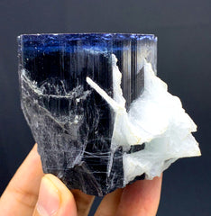 Blue Cap Tourmaline with Cleavelandite Albite from Paprok Afghanistan - 366 gram