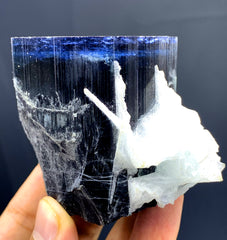 Blue Cap Tourmaline with Cleavelandite Albite from Paprok Afghanistan - 366 gram