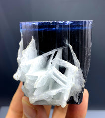 Blue Cap Tourmaline with Cleavelandite Albite from Paprok Afghanistan - 366 gram