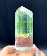 Bicolor Tourmaline Crystal from Afghanistan - 48.10 carats