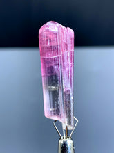 Bicolor Tourmaline Crystal from Paprok Afghanistan - 20 cts