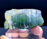 Bicolor Tourmaline Crystal from Paprok Afghanistan - 172.50 carats