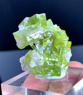 Green Tourmaline Cluster on Lepidolite from Afghanistan - 84.45 carats