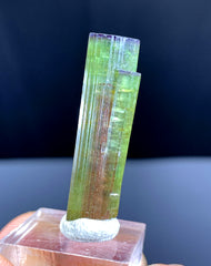 Watermelon Tourmaline Crystal from Paprok Afghanistan - 20.50 carats