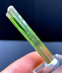 Watermelon Tourmaline Crystal from Paprok Afghanistan - 19.20 carats