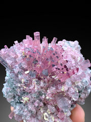 Cotton Candy Tourmaline Bunch, Tourmaline Cluster, Bicolor Tourmaline, Crystals Cluster, Afghan Tourmaline - 181 gram