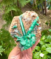 Lush Green Emerald Crystals on Matrix from Panjshir valley, Afghanistan - 466 gram
