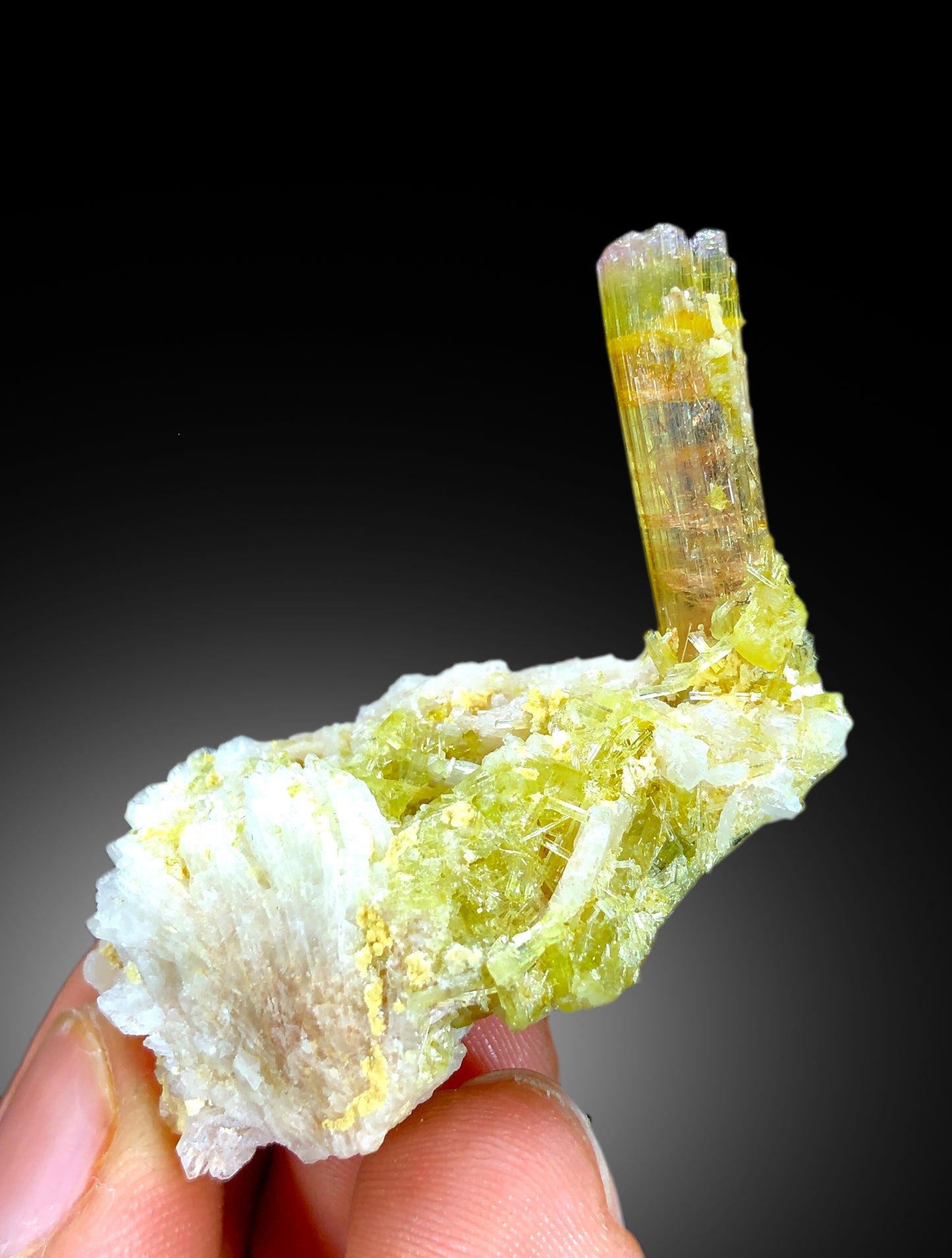 Natural watermelon Tourmaline Crystals with Albite, Tourmaline Specimen, Raw Mineral, Tourmaline from Paprok Afghanistan - 13 gram