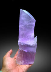 Museum Grade Pink Kunzite Crystal from Nuristan, Afghanistan - 1024 gram