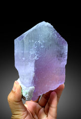 Stunning Bicolor Kunzite with Green Tourmalines and Lepidolite from Nuristan, Afghanistan - 976 gram