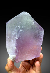 Stunning Bicolor Kunzite with Green Tourmalines and Lepidolite from Nuristan, Afghanistan - 976 gram
