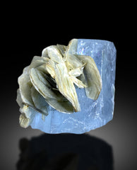 Sky Blue Aquamarine on Muscovite from Pakistan - 130 gram