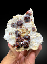 Natural Red Color Garnet Crystals on Matrix from Shengus, Roundu District, Gilgit-Baltistan, Pakistan - 207 gram