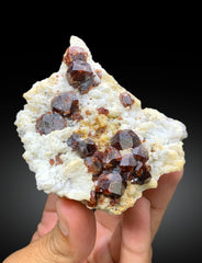 Natural Red Color Garnet Crystals on Matrix from Shengus, Roundu District, Gilgit-Baltistan, Pakistan - 207 gram