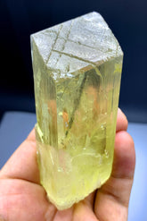 Yellow Triphane Kunzite with Tourmaline from Afghanistan - 220 gram
