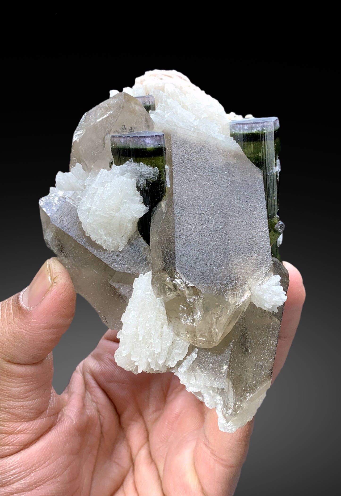 Tourmaline Crystals on Smoky Quartz, Tourmaline Specimen with Albite, Purple Cap Tourmaline, Tricolor Tourmaline, Paprok Tourmaline, 398 g