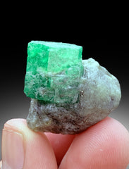 Lush Green Color Emerald on Matrix, Emerald Crystal, Fine Mineral, Emerald from Swat Pakistan - 111.55 carat