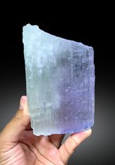 Natural Bicolor Kuzite Crystal from Mawi Pegmatite, Nuristan Province, Afghanistan - 889 gram
