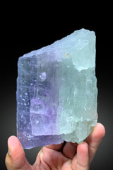 Natural Bicolor Kuzite Crystal from Mawi Pegmatite, Nuristan Province, Afghanistan - 889 gram