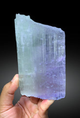 Natural Bicolor Kuzite Crystal from Mawi Pegmatite, Nuristan Province, Afghanistan - 889 gram