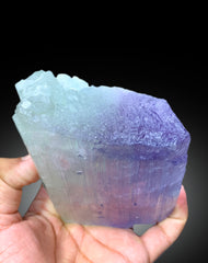 Natural Bicolor Kuzite Crystal from Mawi Pegmatite, Nuristan Province, Afghanistan - 889 gram