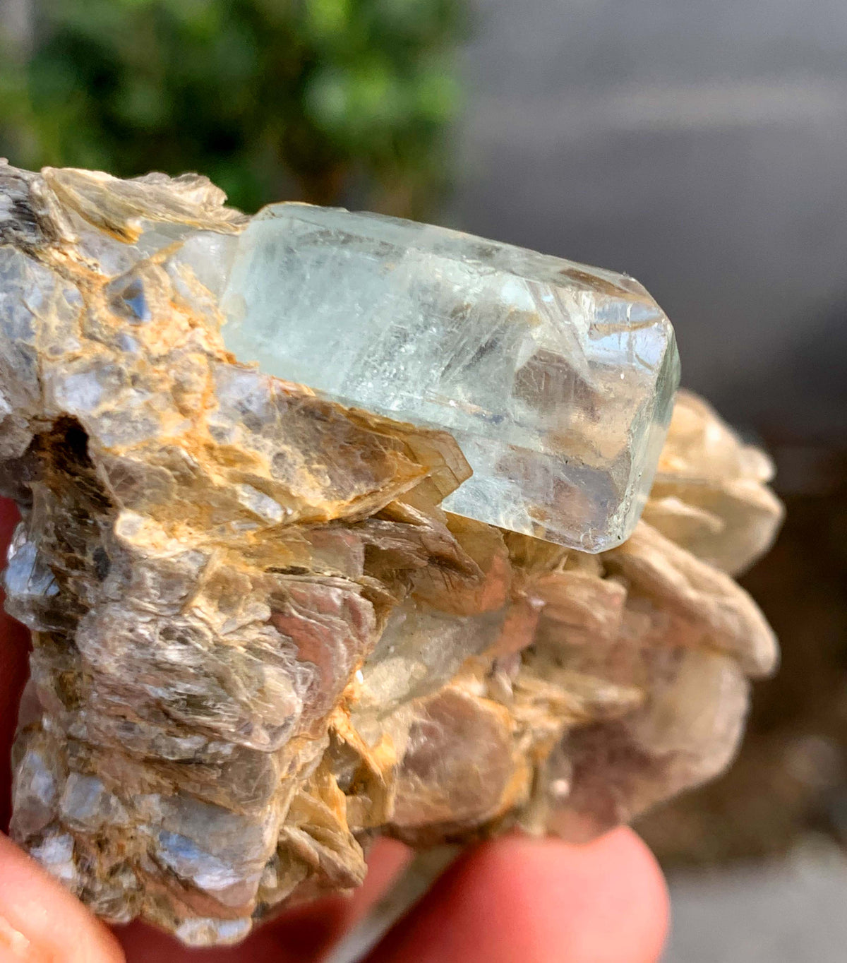 Aquamarine Crystal With Mica on Matrix From Pakistan - 63 Grams