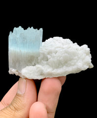 Bicolor Beryl, AquaMorganite Crystal on Albite, Morganite var Aquamarine with Etched Terminations, AquaMorganite Specimen - 139 gram