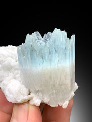 Bicolor Beryl, AquaMorganite Crystal on Albite, Morganite var Aquamarine with Etched Terminations, AquaMorganite Specimen - 139 gram