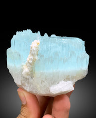 Bicolor Beryl, AquaMorganite Crystal, Morganite var Aquamarine with Etched Terminations, AquaMorganite Specimen - 615 gram