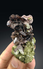 Axinite on Green Epidote from Skardu Pakistan - 85 gram