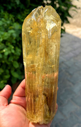 Exquisite Yellow Triphane Kunzite Crystal from Afghanistan - 826 gram