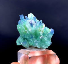 Indicolite Blue Tourmaline Cluster with Quartz from Afghanistan - 19 gram