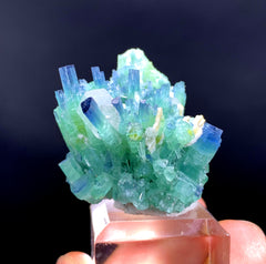 Indicolite Blue Tourmaline Cluster with Quartz from Afghanistan - 19 gram