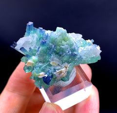 Indicolite Blue Tourmaline Cluster with Quartz from Afghanistan - 19 gram