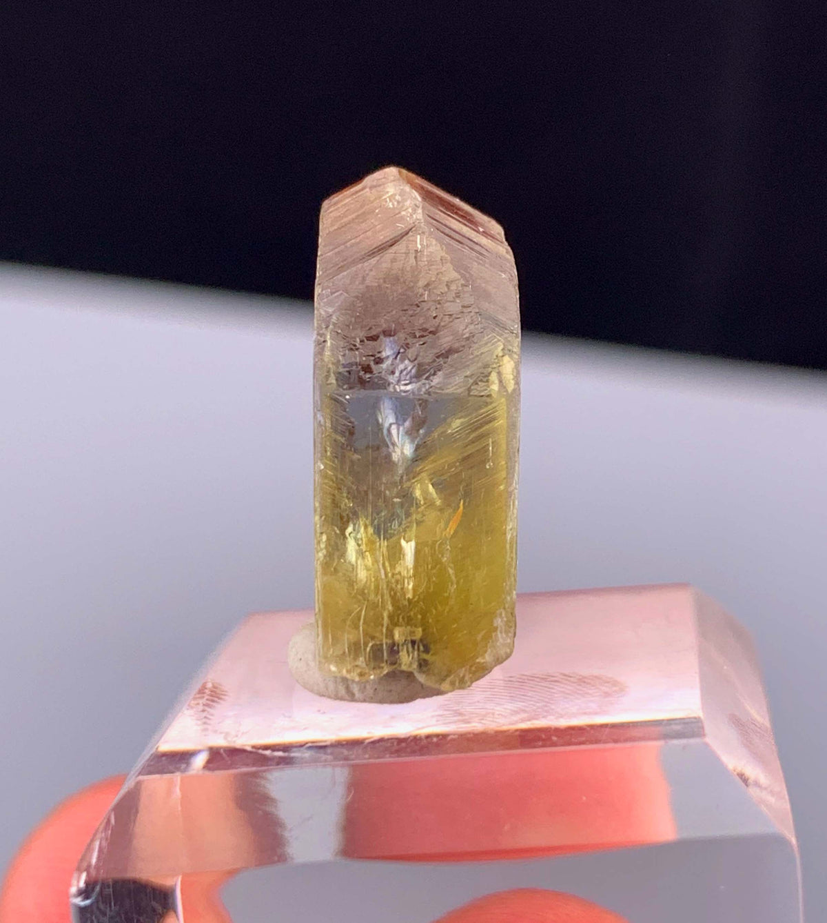 Natural Bicolor Tanzanite Crystal From Tanzania - 20.70 Carats