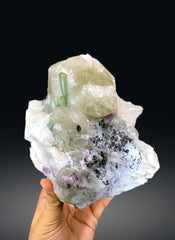 Bicolor Tourmalines with Purple Apatite on Quartz from Afghanistan - 2533 grams
