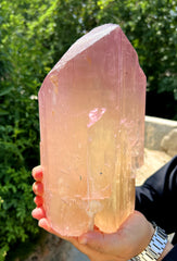 Museum Grade Peach Pink Kunzite Crystal from Afghanistan - 6.3 Kg