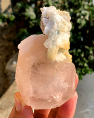 Peach Pink Morganite on Albite from Afghanistan - 234 gram