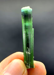 Natural Bicolor Tourmaline Crystal, Lipstick Tourmaline, Tourmaline Crystal from Afghanistan - 24.20 carat