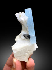 Natural Sky Blue Color Aquamarine with Schorl Black Tourmaline and Feldspar from Shigar valley Skardu Pakistan - 97 gram