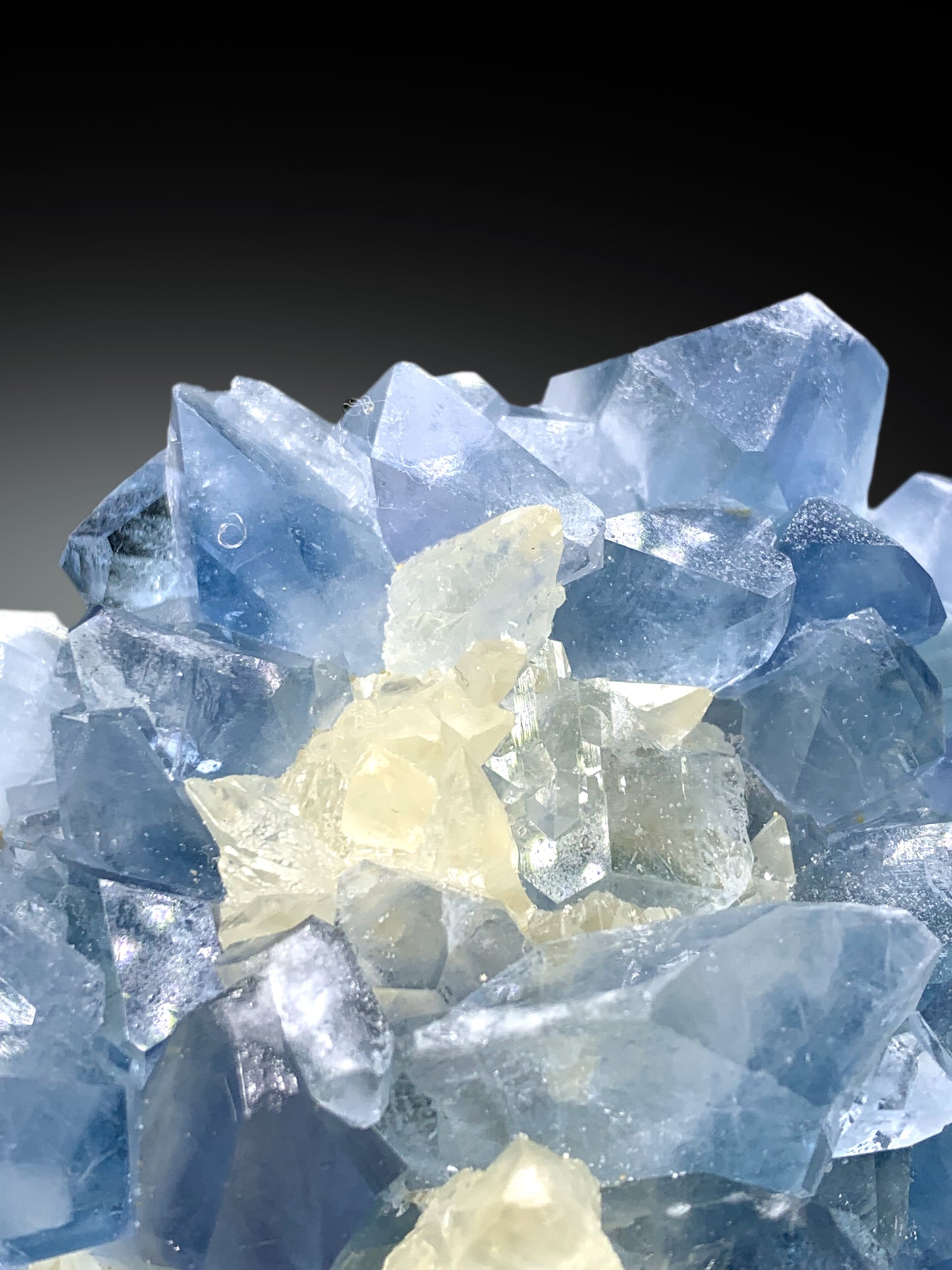 Blue Celestine Crystals with Yellow Calcite from Afghanistan, 242 gram