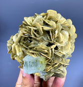 Sky Blue Aquamarine on Muscovite from Pakistan - 506 gram