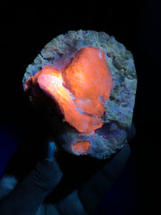 Fluorescent Rare Blue Hackmanite on Matrix from Afghanistan - 369 gram