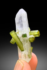 Lush Green Color Tourmaline Crystals on Quartz from Chapu Mine Skardu Pakistan - 12 gram